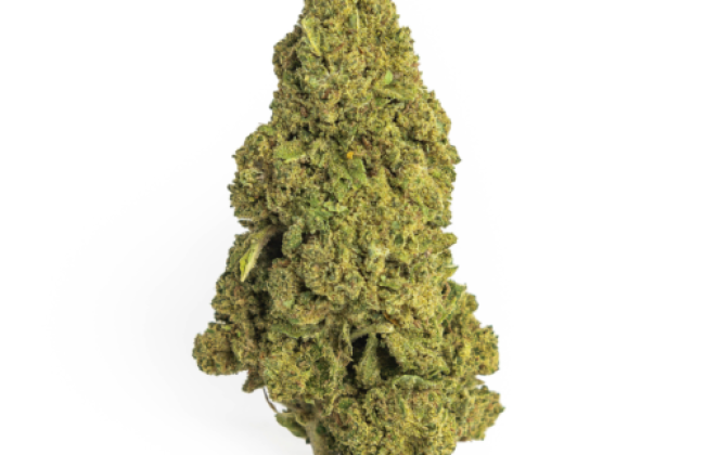 Bubba Kush x trem