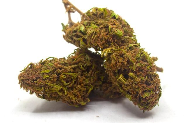 cannatonic