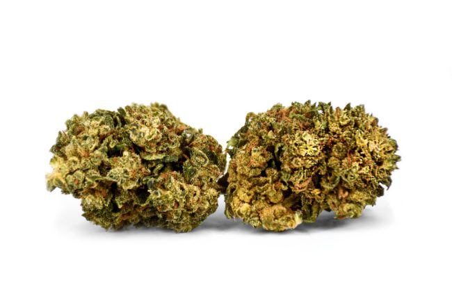 gelato